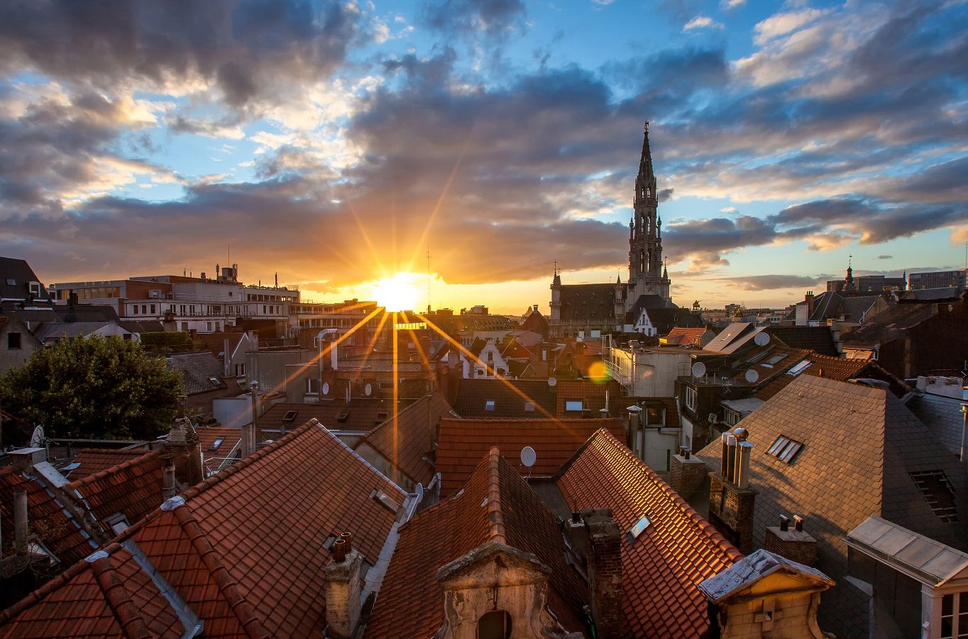 304_IMG_1531_web900h