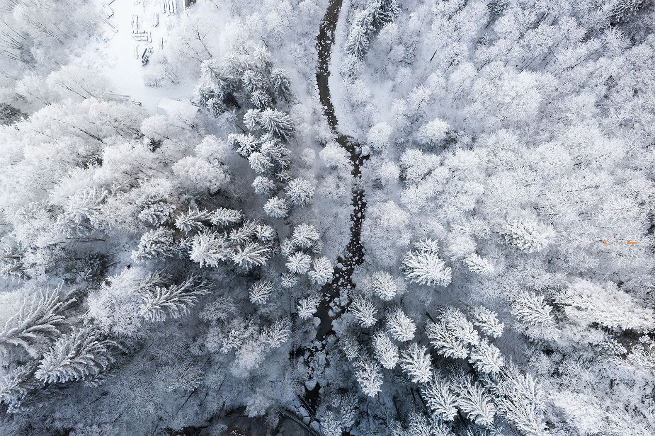 Schloss Neuschwanstein zum Sonnenuntergang im WInterkleid