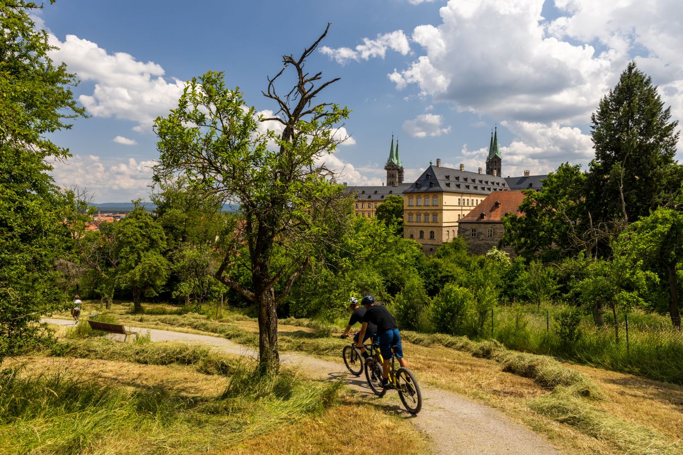 Am Michaelsberg in Bamberg (411_MG_8120_)