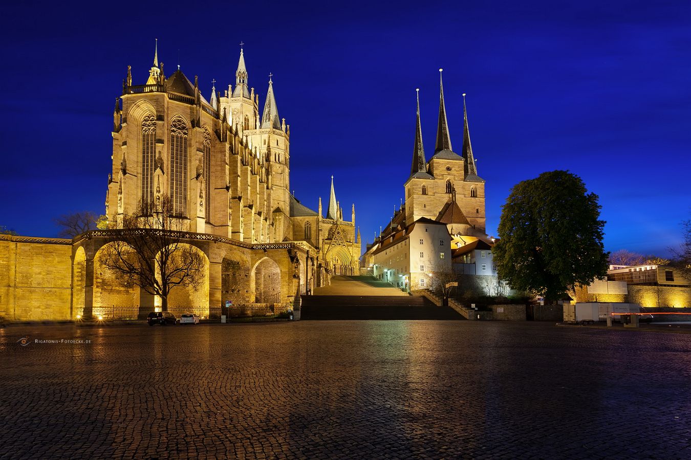 Dom St. Marien und St. Severi Erfurt (186_MG_9588_5a)