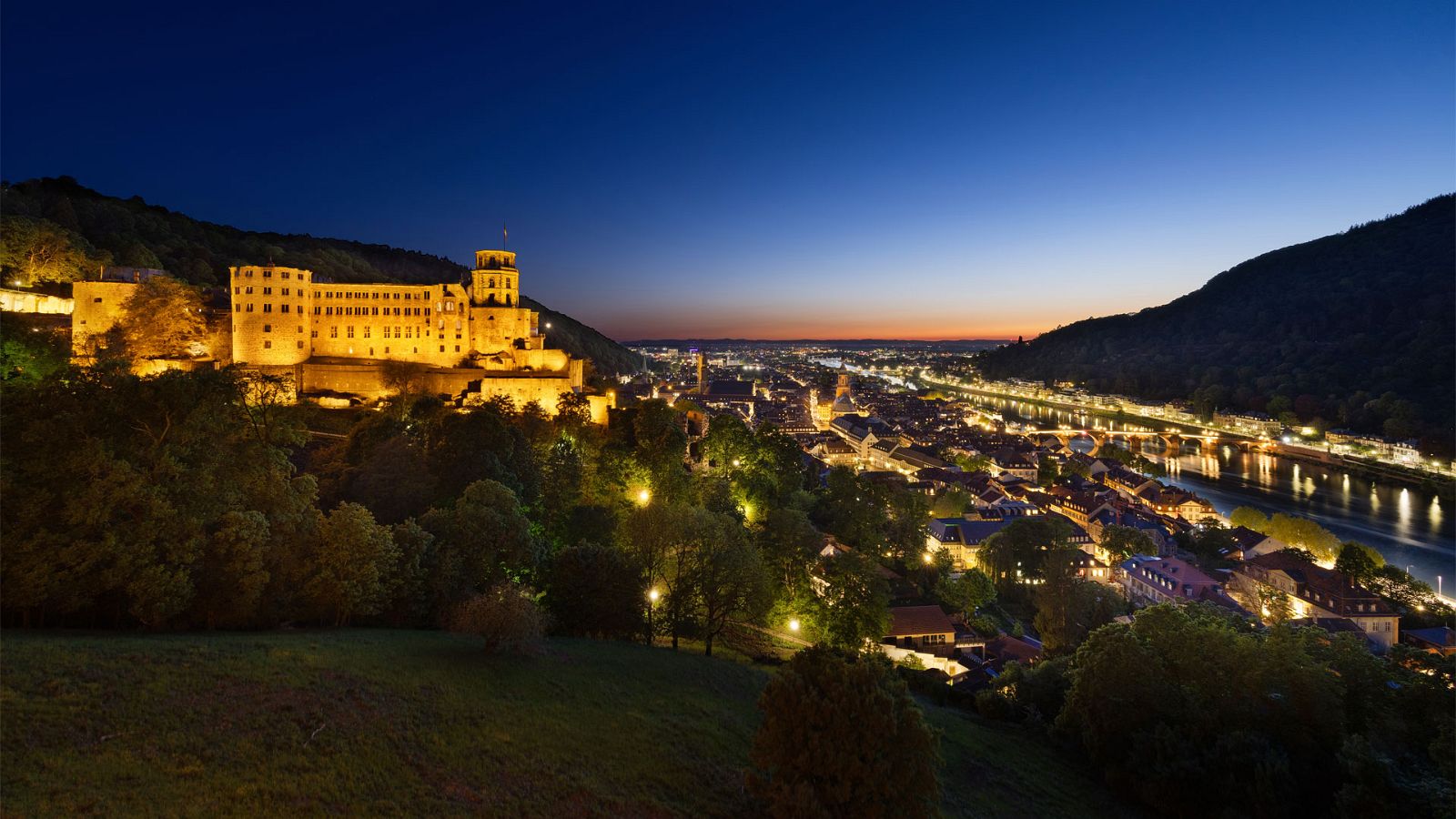Schloss Heidelberg (426_R5_9128_5)