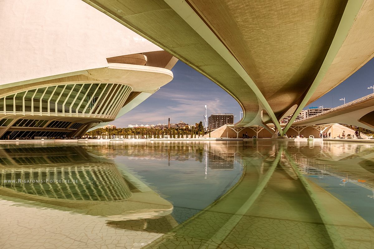Palacio de las Artes Reina Sofía (267_IMG_8417_3)