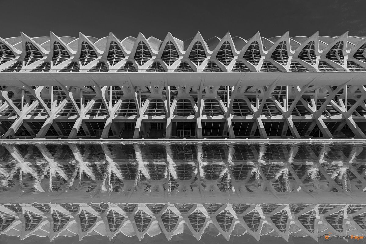 L'Hemisfèric (267_IMG_8451_sw)