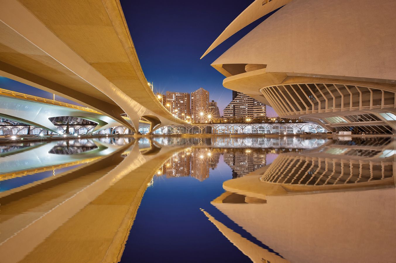Palacio de las Artes Reina Sofía in Valencia Spanien (Spiegelung wurde in PS eingefügt!) (267_IMG_8936_7)