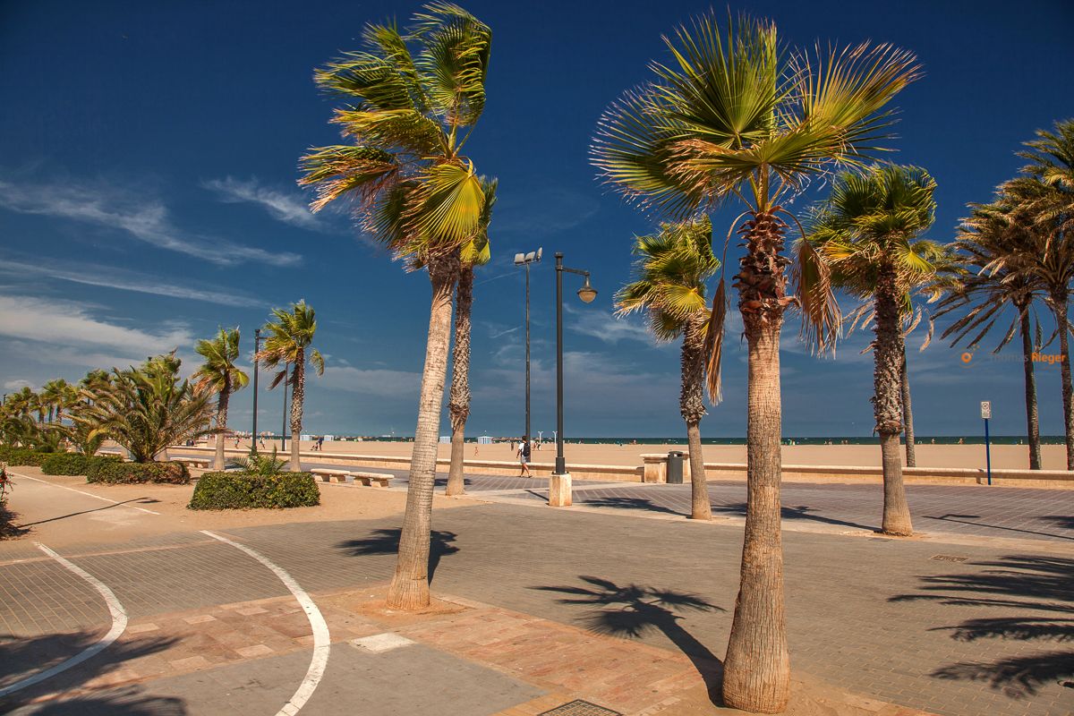 267_IMG_8980_1200 (267_IMG_8980_)