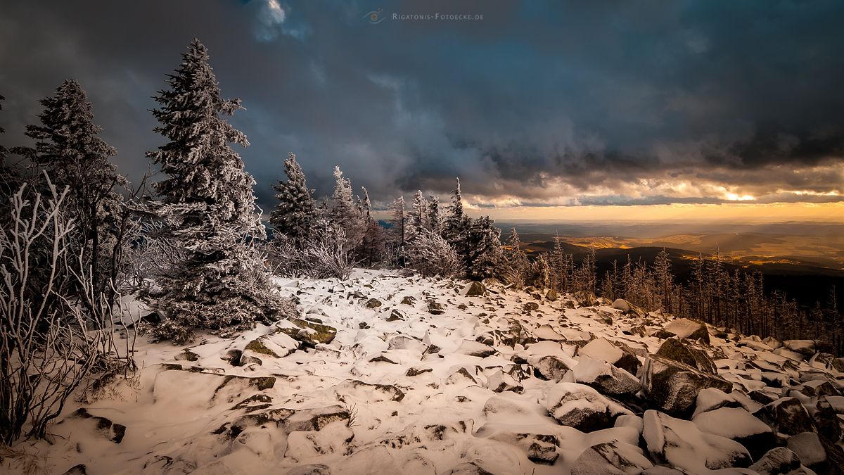 2007 Auf dem Lusen im bayersichen Wald (61_MG_0865_2)