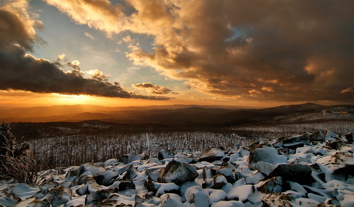 2007 Auf dem Lusen im bayersichen Wald (61_MG_0935_2)