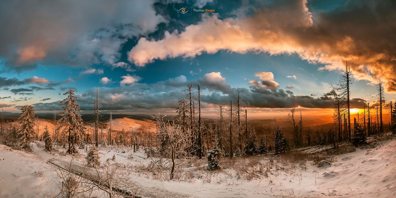 2007 Auf dem Lusen im bayersichen Wald (61_MG_1015_09_2017)