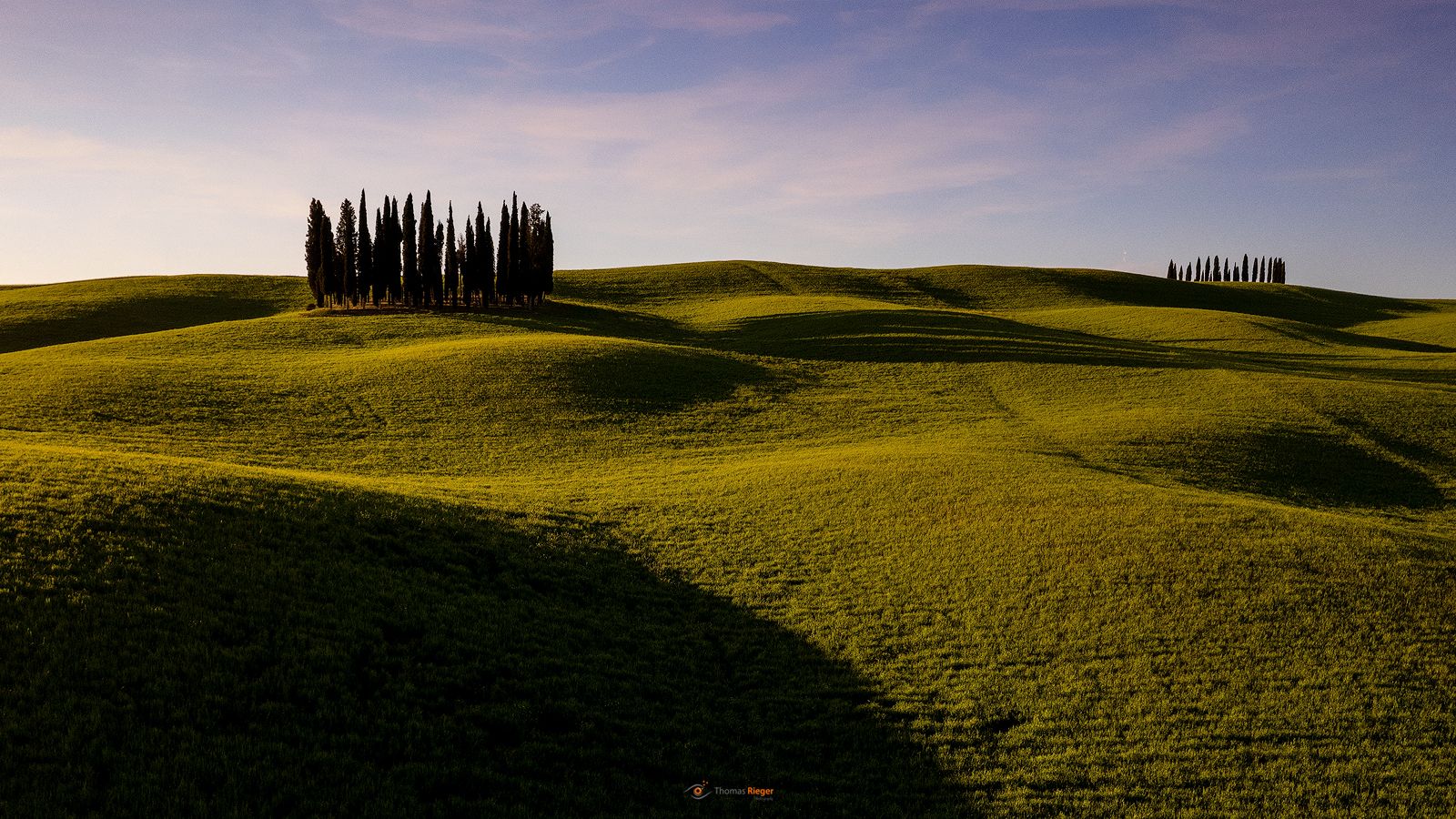 Cipressi di San Quirico d'Orcia