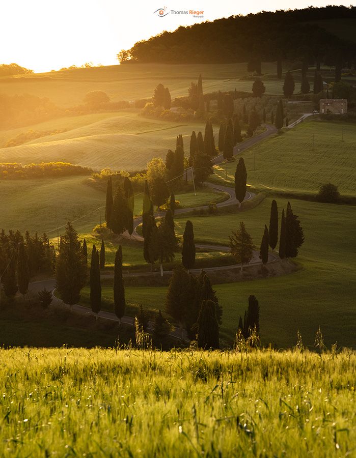 Punto Panoramico, Val d´Orcia, Toscana