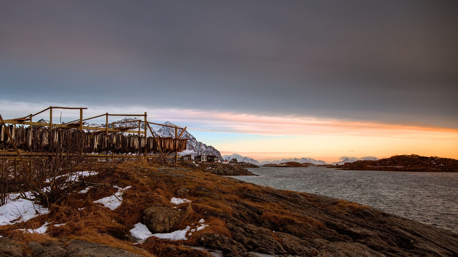 Stockfisch auf den Lofoten bei Henningvear (88_MG_6110_3)