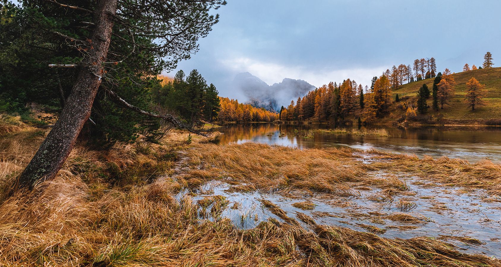 87_MG_4029_2_web900h