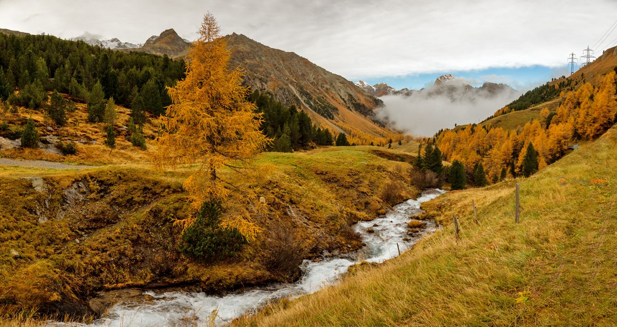 87_MG_4150_web1200 (87_MG_4150)