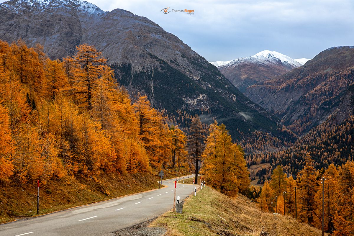 87_MG_4217_WEB1200 (87_MG_4217)