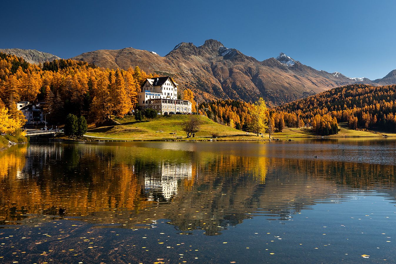 Waldhaus am St Moritzsee im Morgenlicht (87_MG_4718)