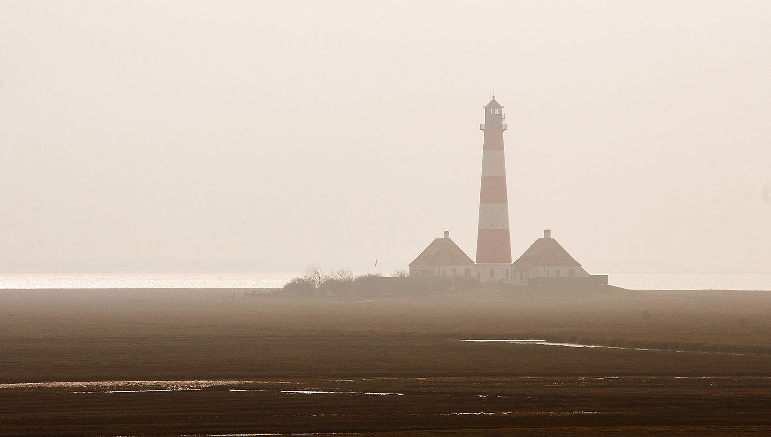 nebliches St. peter Ording (13_MG_2526_)