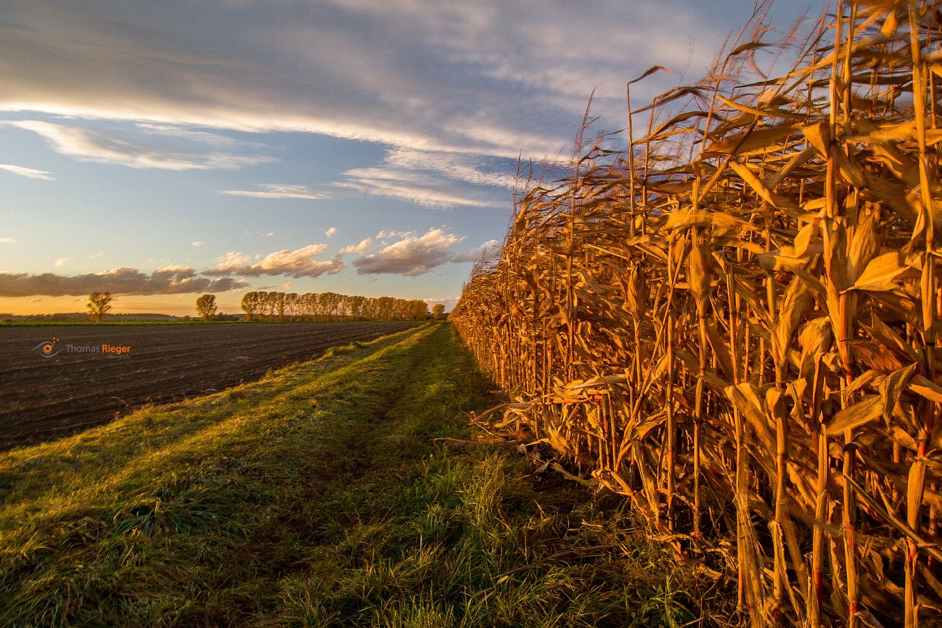 19_MG_7531_2_web900h