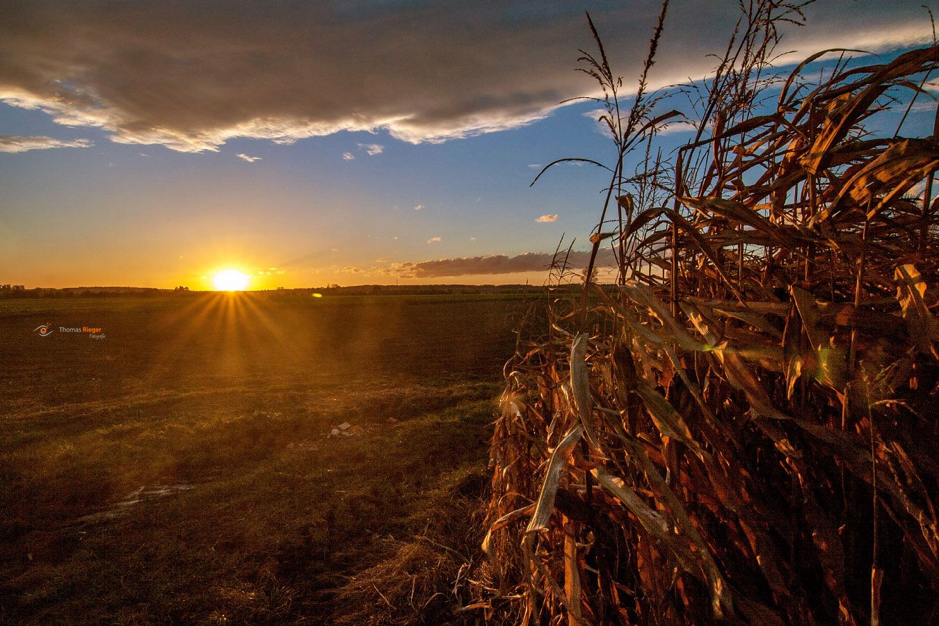 19_MG_7540_2_web900h