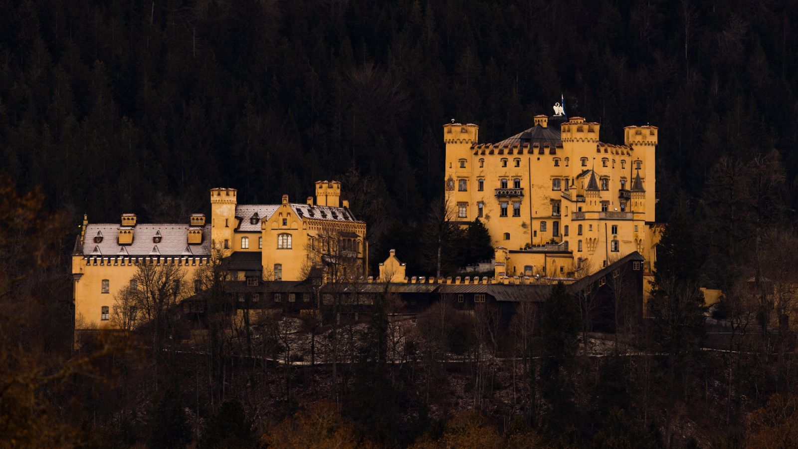 Schloss Hohenschwangau (111_MG_7367)