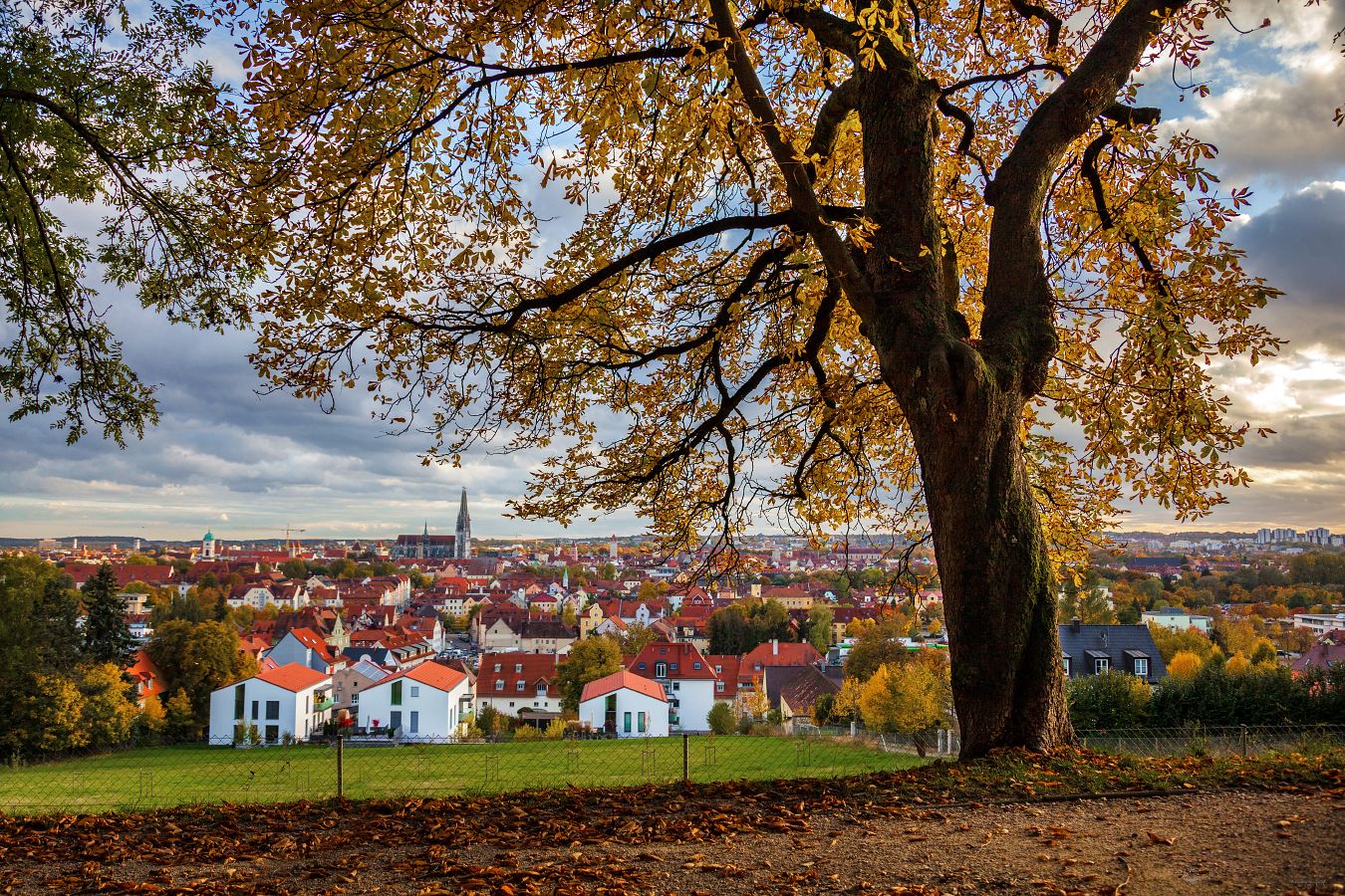 Regensburg im Herbst Regensburg im Herbst