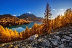 Silsener Höhenweg mit Blick zum Silser See im Engadin