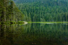 großer Arbersee