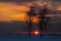 Sonnenuntergang zwischen zwei Linden