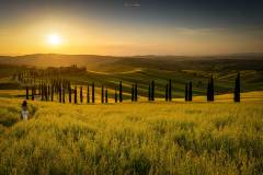 Punto Panoramico Crete Senesi Agr. Baccoleno