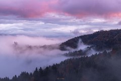 Slowenien, St Thomas Church, Sveti Tomaz
