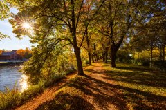 Regensburg Herbst