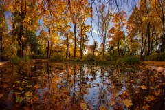 Regensburg Herbst